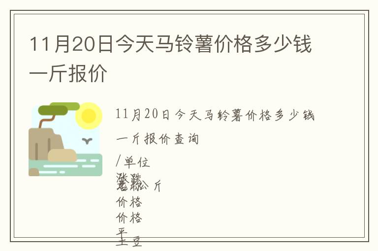 11月20日今天马铃薯价格多少钱一斤报价