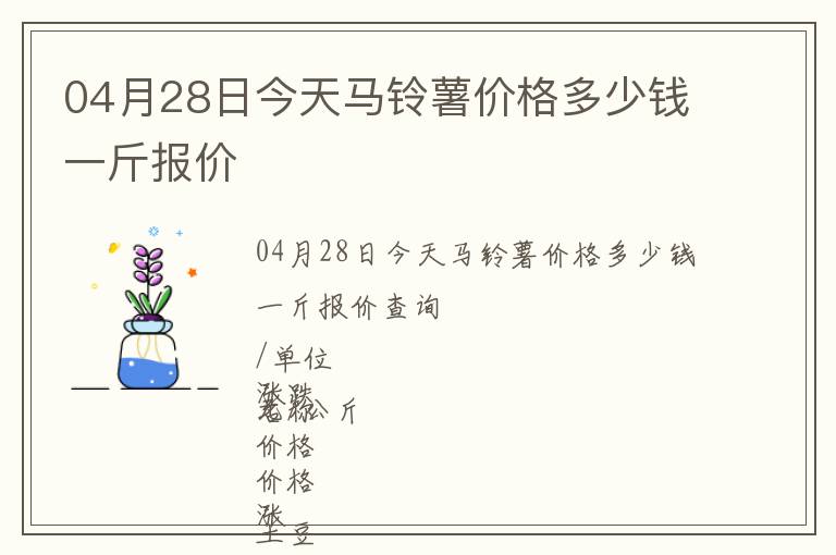 04月28日今天马铃薯价格多少钱一斤报价