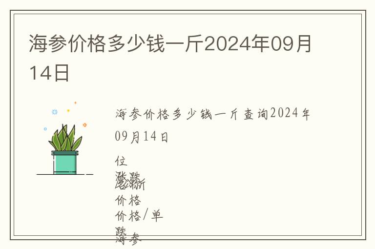 海参价格多少钱一斤2024年09月14日