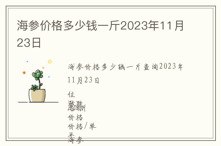 海参价格多少钱一斤2023年11月23日