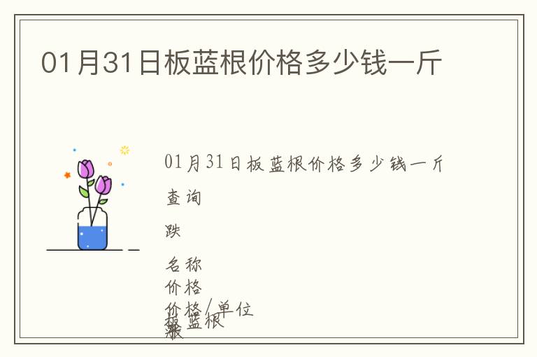 01月31日板蓝根价格多少钱一斤