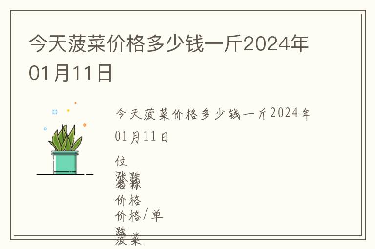 今天菠菜价格多少钱一斤2024年01月11日