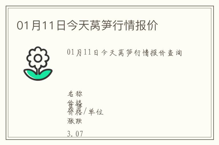 01月11日今天莴笋行情报价