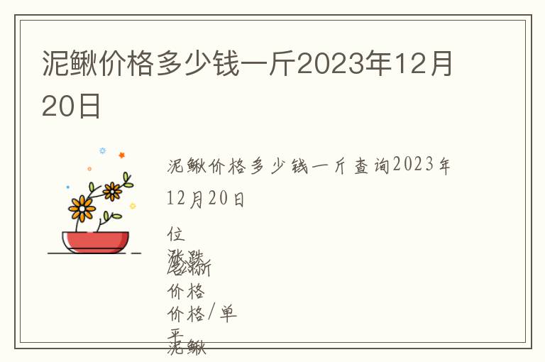 泥鳅价格多少钱一斤2023年12月20日