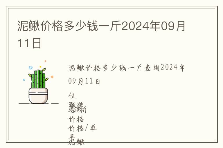 泥鳅价格多少钱一斤2024年09月11日