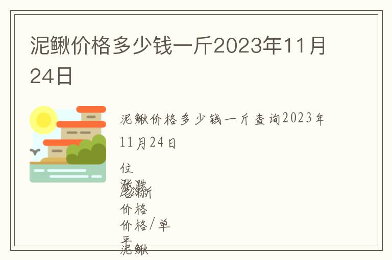 泥鳅价格多少钱一斤2023年11月24日