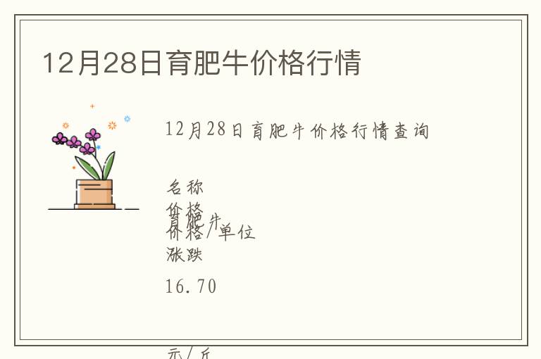 12月28日育肥牛价格行情