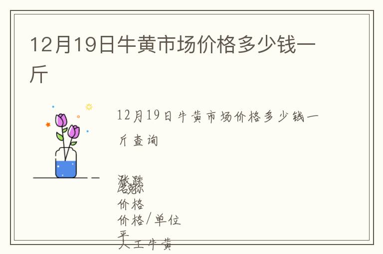 12月19日牛黄市场价格多少钱一斤