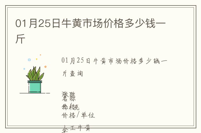 01月25日牛黄市场价格多少钱一斤