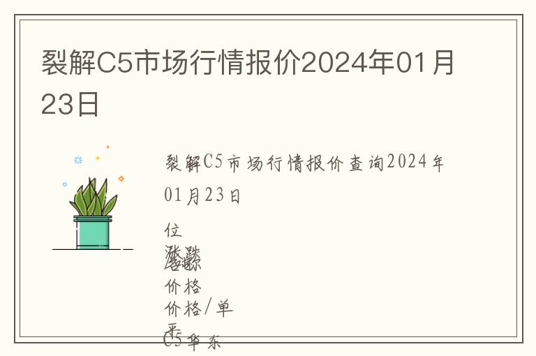 裂解C5市场行情报价2024年01月23日