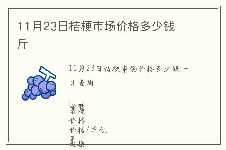 11月23日桔梗市场价格多少钱一斤