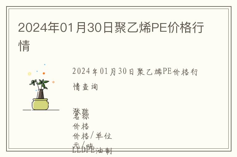 2024年01月30日聚乙烯PE价格行情