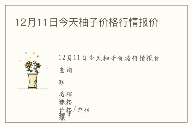 12月11日今天柚子价格行情报价