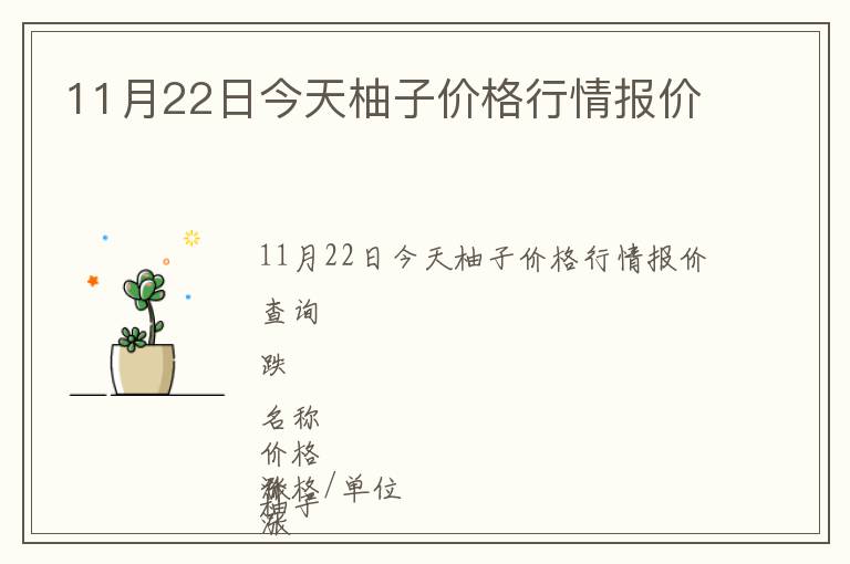 11月22日今天柚子价格行情报价