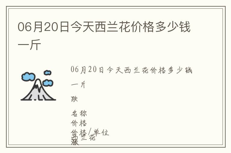 06月20日今天西兰花价格多少钱一斤