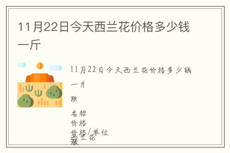 11月22日今天西兰花价格多少钱一斤