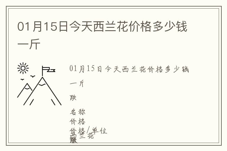 01月15日今天西兰花价格多少钱一斤