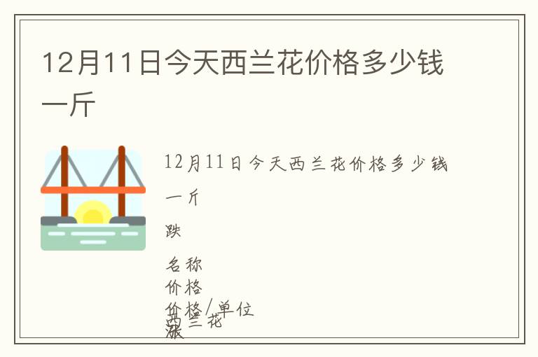 12月11日今天西兰花价格多少钱一斤