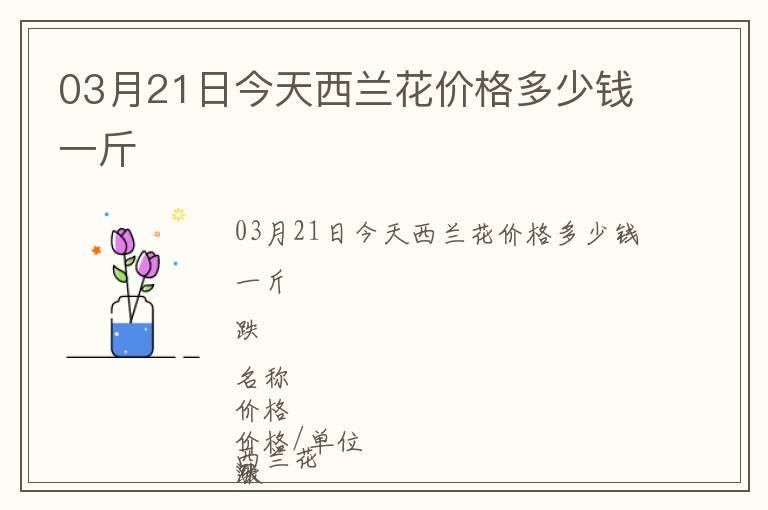 03月21日今天西兰花价格多少钱一斤