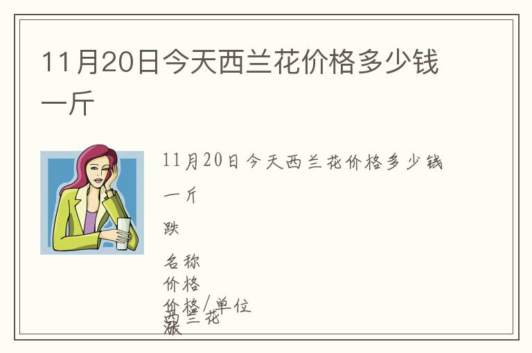 11月20日今天西兰花价格多少钱一斤