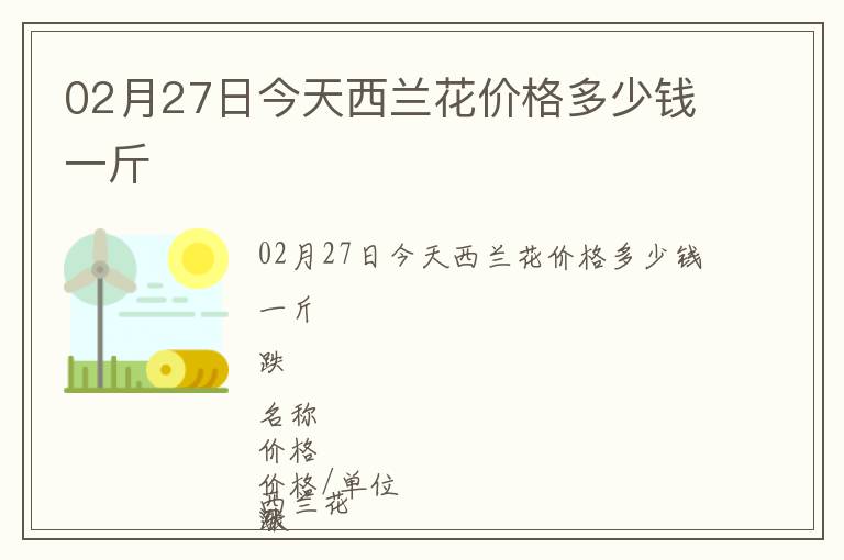 02月27日今天西兰花价格多少钱一斤