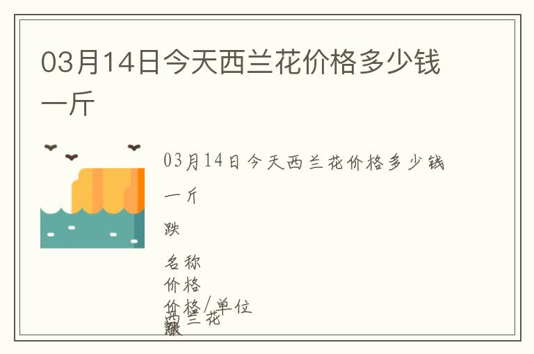 03月14日今天西兰花价格多少钱一斤