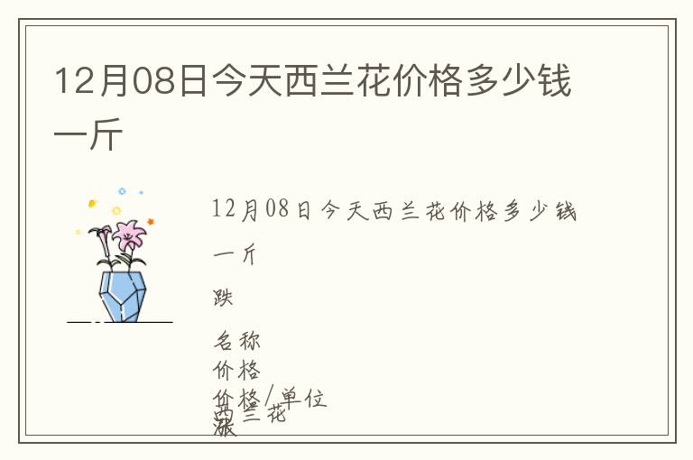 12月08日今天西兰花价格多少钱一斤