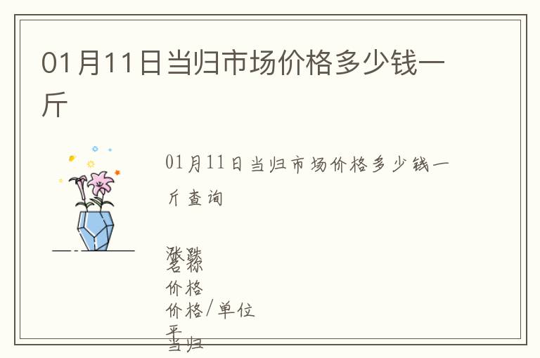 01月11日当归市场价格多少钱一斤