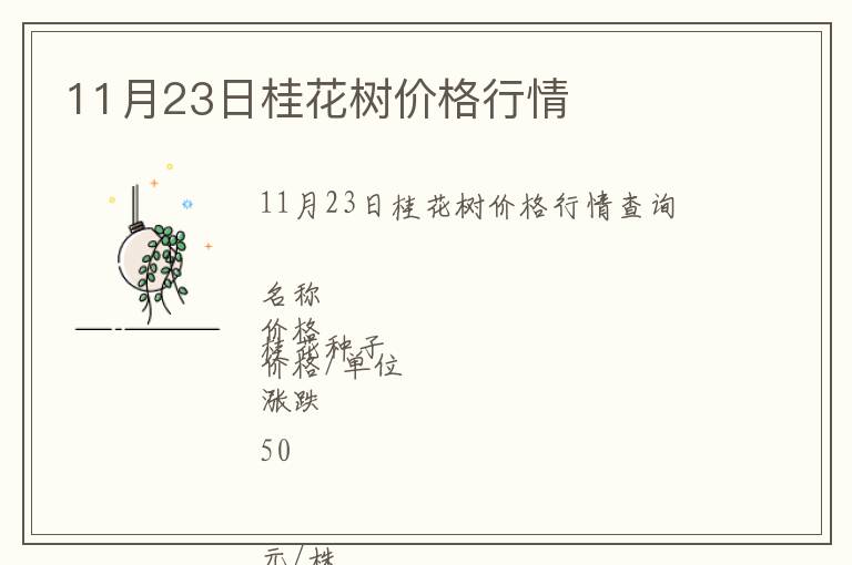 11月23日桂花树价格行情