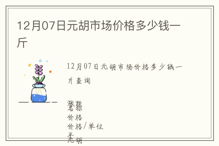 12月07日元胡市场价格多少钱一斤