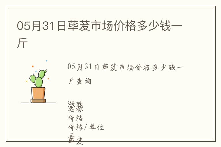 05月31日荜茇市场价格多少钱一斤