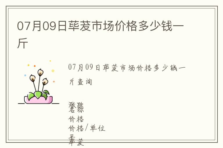 07月09日荜茇市场价格多少钱一斤