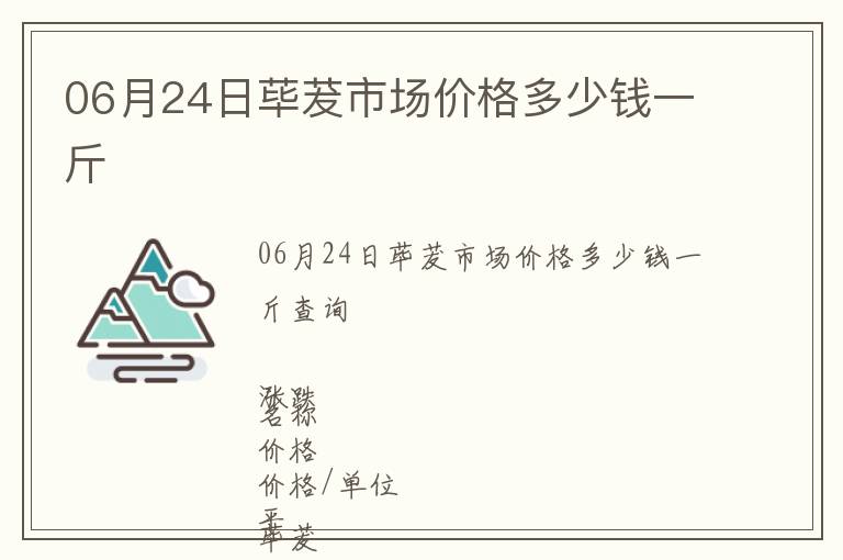 06月24日荜茇市场价格多少钱一斤