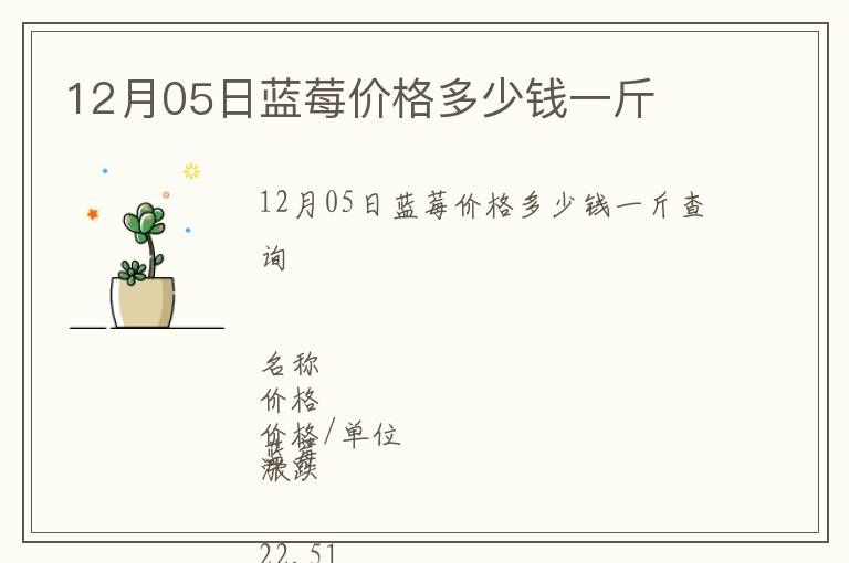 12月05日蓝莓价格多少钱一斤
