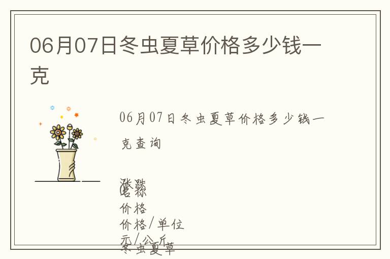 06月07日冬虫夏草价格多少钱一克