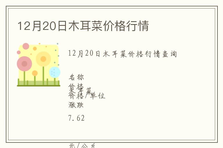 12月20日木耳菜价格行情