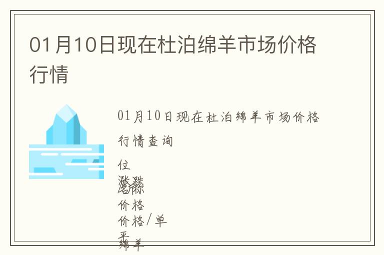 01月10日现在杜泊绵羊市场价格行情