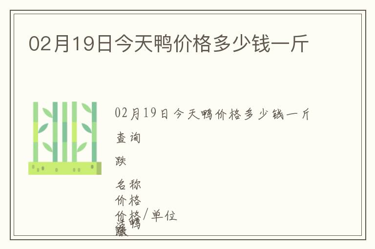 02月19日今天鸭价格多少钱一斤