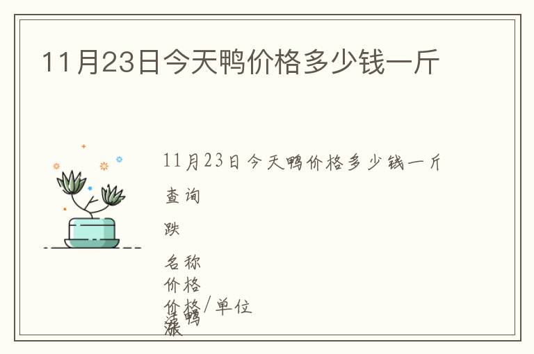 11月23日今天鸭价格多少钱一斤