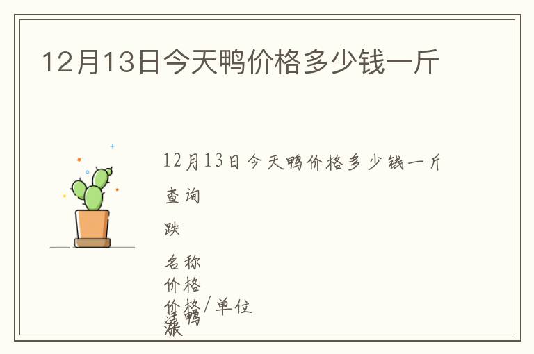 12月13日今天鸭价格多少钱一斤