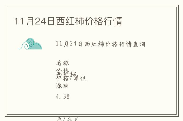 11月24日西红柿价格行情