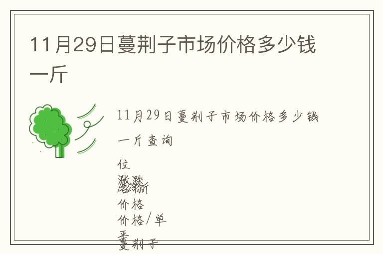 11月29日蔓荆子市场价格多少钱一斤