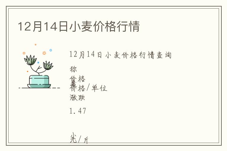 12月14日小麦价格行情