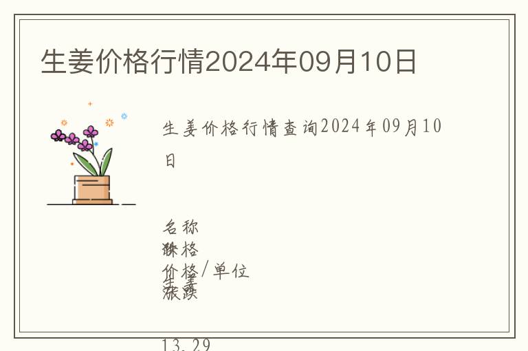 生姜价格行情2024年09月10日