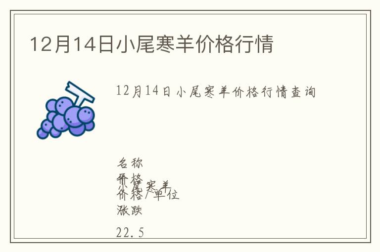 12月14日小尾寒羊价格行情