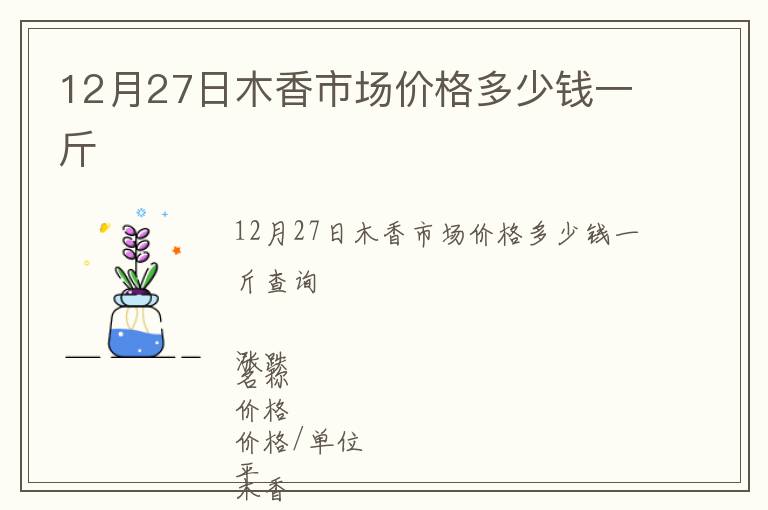 12月27日木香市场价格多少钱一斤