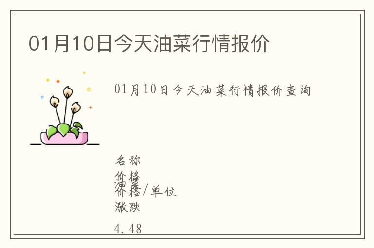 01月10日今天油菜行情报价