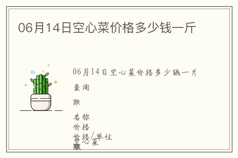 06月14日空心菜价格多少钱一斤