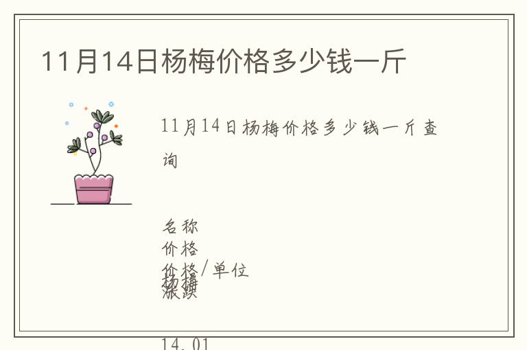 11月14日杨梅价格多少钱一斤