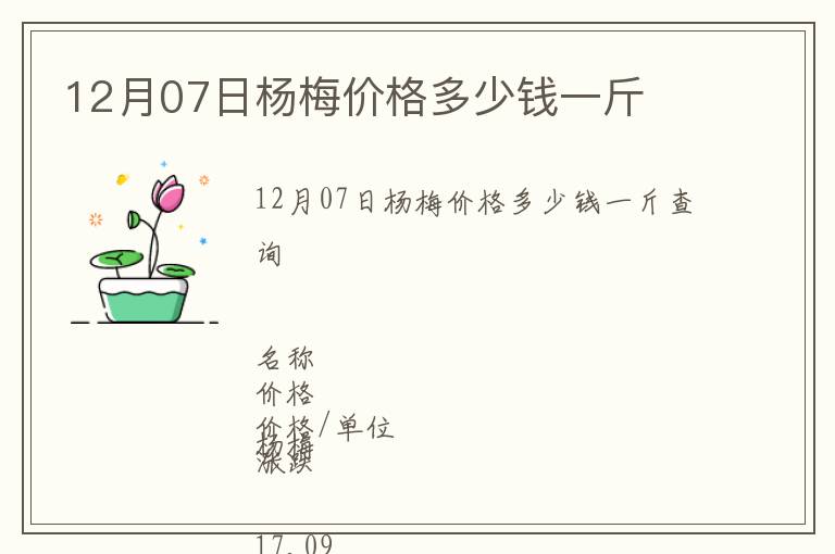 12月07日杨梅价格多少钱一斤